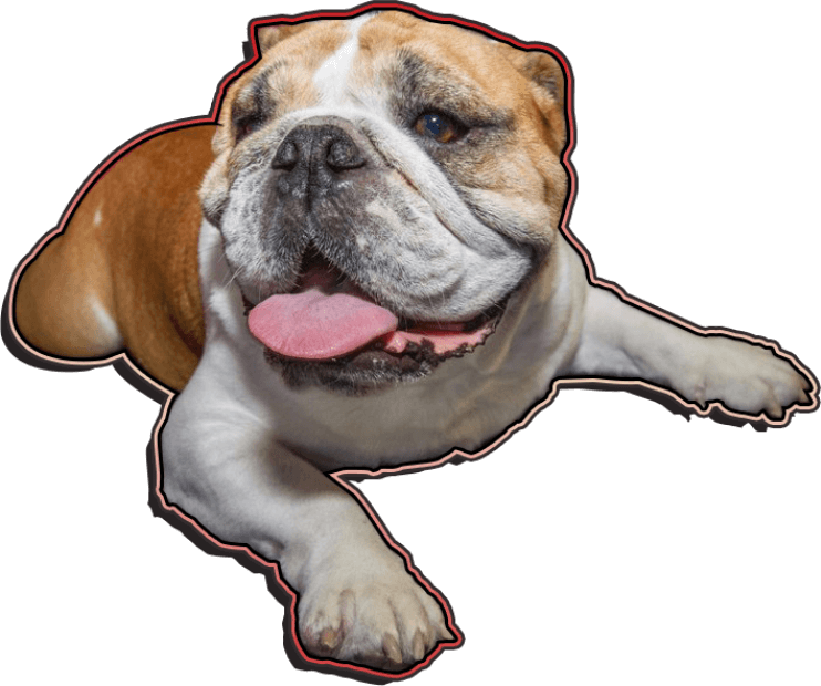 Im Murphy!